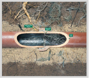 blocked drains blocked drains